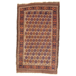 3001 Balouch 3 ft 2 in x 5 ft 2 in (97 x 157)