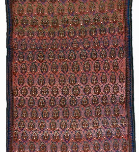 3367 Kurd 5 ft 6 x 14 ft 7 in