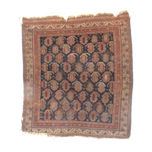 3667 Afshar 4 ft 4 in x 4 ft 4 in
