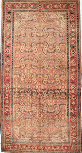 3834 Farahan 5 ft 6 in x 11 ft