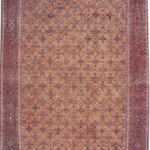 3013 Farahan 17 ft x 24 ft