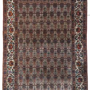 7037 Bakhtiari Zilisultan 7 ft x 10 ft