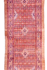 7775 Serab Runner 3 ft 6 in x 15 ft 3 in