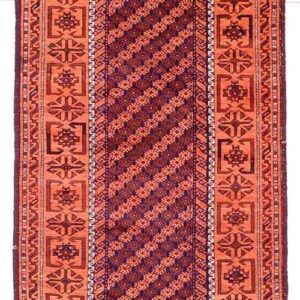8586 Balouch 3 ft 3 in x 6 ft