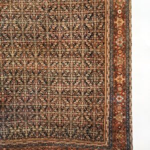 3101 Farahan 10 ft x 22 ft