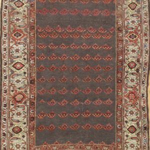 4303 Kurd 4 ft 2 in x 5 ft 10 in