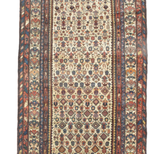 4377 Bakhtiari 5 ft 7 in x 14 ft 3 in