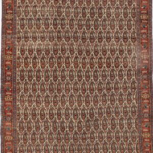 4723 Senneh 4 ft 7 in x 6 ft 6 in