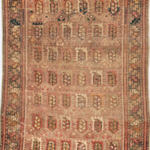 8962 Shirvan 3 ft 5 in x 5 ft 4 in