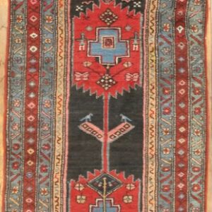 1072 Hamadan 3 ft 6 in x 13 ft 11 in