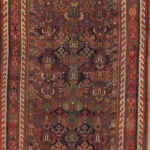 4836 NW Persian 4 ft x 9 ft 9 in