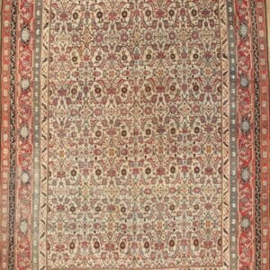 4942 Agra 10 ft x 13 ft 6 in
